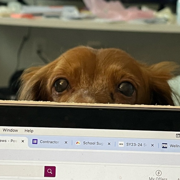 FELIZ is LIVE 🤩🥳🤗 - like me! - Picture 4 of 4